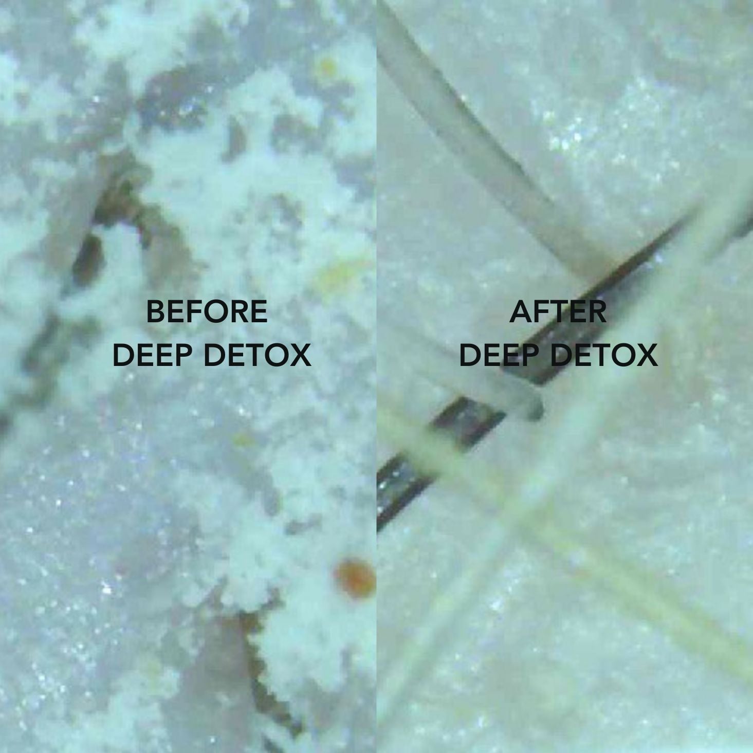 deep detox shampoo